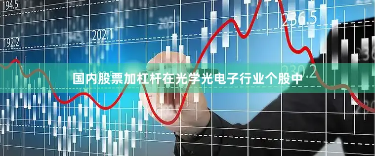 国内股票加杠杆在光学光电子行业个股中